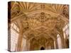 Bodleian Library Interior, Oxford University, Oxford, Oxfordshire, England, United Kingdom, Europe-Ben Pipe-Stretched Canvas