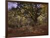 Bodmer Oak, Fontainbleau Forest-Claude Monet-Framed Giclee Print