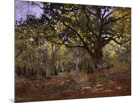 Bodmer Oak, Fontainbleau Forest-Claude Monet-Mounted Giclee Print