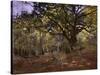 Bodmer Oak, Fontainbleau Forest-Claude Monet-Stretched Canvas