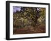 Bodmer Oak, Fontainbleau Forest-Claude Monet-Framed Giclee Print