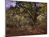 Bodmer Oak, Fontainbleau Forest-Claude Monet-Mounted Giclee Print