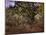 Bodmer Oak, Fontainbleau Forest-Claude Monet-Mounted Giclee Print