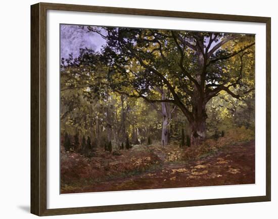 Bodmer Oak, Fontainbleau Forest-Claude Monet-Framed Giclee Print