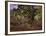 Bodmer Oak, Fontainbleau Forest-Claude Monet-Framed Giclee Print