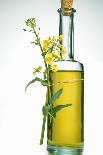 A Bottle of Rapeseed Oil with Flowers-Bodo A^ Schieren-Photographic Print