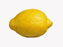 A Lemon-Bodo A^ Schieren-Photographic Print