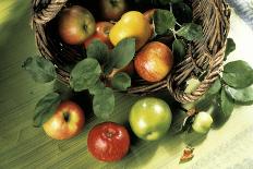 Assorted Apples in a Basket-Bodo A^ Schieren-Photographic Print