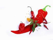 Various Fresh Chilli Peppers on a Picture of a Chilli Pepper-Bodo A^ Schieren-Photographic Print