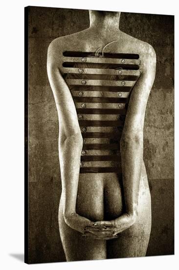 body, 2013-Johan Lilja-Stretched Canvas