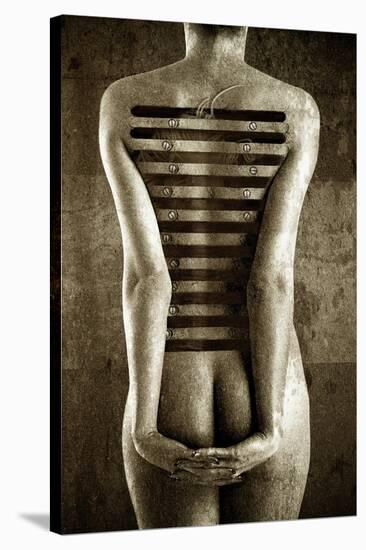body, 2013-Johan Lilja-Stretched Canvas