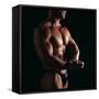 Body Builder-Tony McConnell-Framed Stretched Canvas