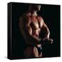 Body Builder-Tony McConnell-Framed Stretched Canvas