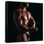 Body Builder-Tony McConnell-Framed Stretched Canvas