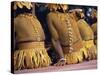 Body Decoration, Tasman Islanders, South Pacific, Pacific-Maureen Taylor-Stretched Canvas