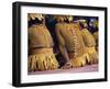 Body Decoration, Tasman Islanders, South Pacific, Pacific-Maureen Taylor-Framed Photographic Print