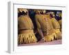 Body Decoration, Tasman Islanders, South Pacific, Pacific-Maureen Taylor-Framed Photographic Print