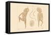 Body Hair, 1833-39-null-Framed Stretched Canvas