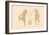 Body Hair, 1833-39-null-Framed Giclee Print