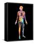 Body Imaging-Mehau Kulyk-Framed Stretched Canvas