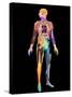 Body Imaging-Mehau Kulyk-Stretched Canvas