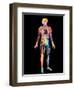 Body Imaging-Mehau Kulyk-Framed Premium Photographic Print