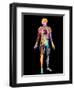 Body Imaging-Mehau Kulyk-Framed Premium Photographic Print