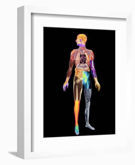 Body Imaging-Mehau Kulyk-Framed Premium Photographic Print