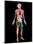 Body Imaging-Mehau Kulyk-Mounted Premium Photographic Print