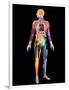 Body Imaging-Mehau Kulyk-Framed Photographic Print