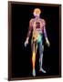 Body Imaging-Mehau Kulyk-Framed Photographic Print