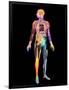 Body Imaging-Mehau Kulyk-Framed Photographic Print