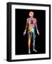 Body Imaging-Mehau Kulyk-Framed Photographic Print