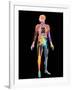 Body Imaging-Mehau Kulyk-Framed Photographic Print