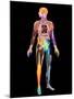 Body Imaging-Mehau Kulyk-Mounted Photographic Print