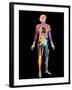 Body Imaging-Mehau Kulyk-Framed Photographic Print