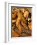 Body Jewelry of the Himba Tribe, Skeleton Coast, Namibia-Michele Westmorland-Framed Photographic Print