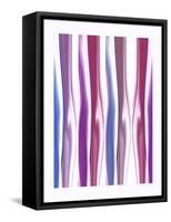 Body Kisses 3-Kenny Primmer-Framed Stretched Canvas