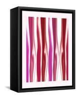 Body Kisses 5-Kenny Primmer-Framed Stretched Canvas