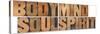 Body, Mind, Soul And Spirit - Vintage Wood Letterpress Printing Block Collage-PixelsAway-Stretched Canvas