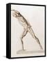 Body Musculature-Mehau Kulyk-Framed Stretched Canvas