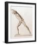 Body Musculature-Mehau Kulyk-Framed Photographic Print