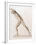 Body Musculature-Mehau Kulyk-Framed Photographic Print