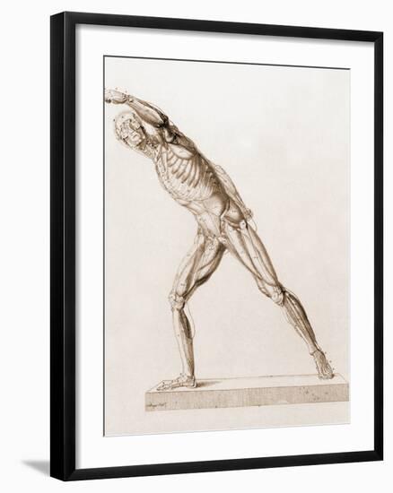 Body Musculature-Mehau Kulyk-Framed Photographic Print