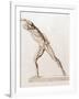 Body Musculature-Mehau Kulyk-Framed Photographic Print