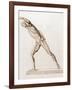 Body Musculature-Mehau Kulyk-Framed Photographic Print