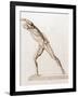 Body Musculature-Mehau Kulyk-Framed Photographic Print