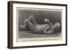 Body of a Child Found in Excavating a Street in Pompeii-null-Framed Premium Giclee Print