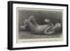 Body of a Child Found in Excavating a Street in Pompeii-null-Framed Premium Giclee Print