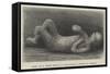 Body of a Child Found in Excavating a Street in Pompeii-null-Framed Stretched Canvas